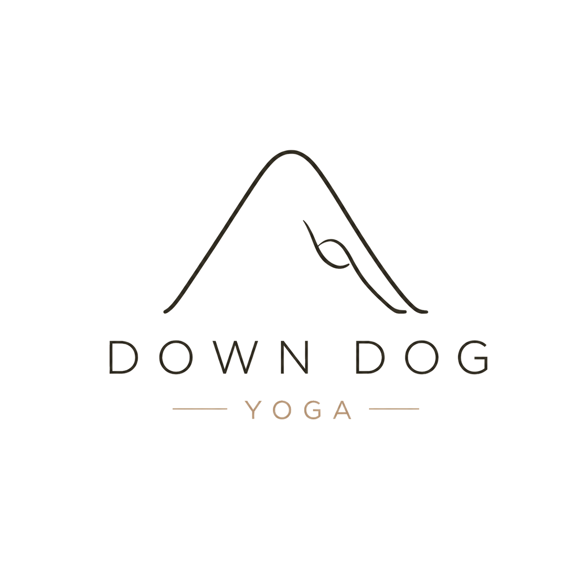 Down Dog Yoga website als project van Wervora